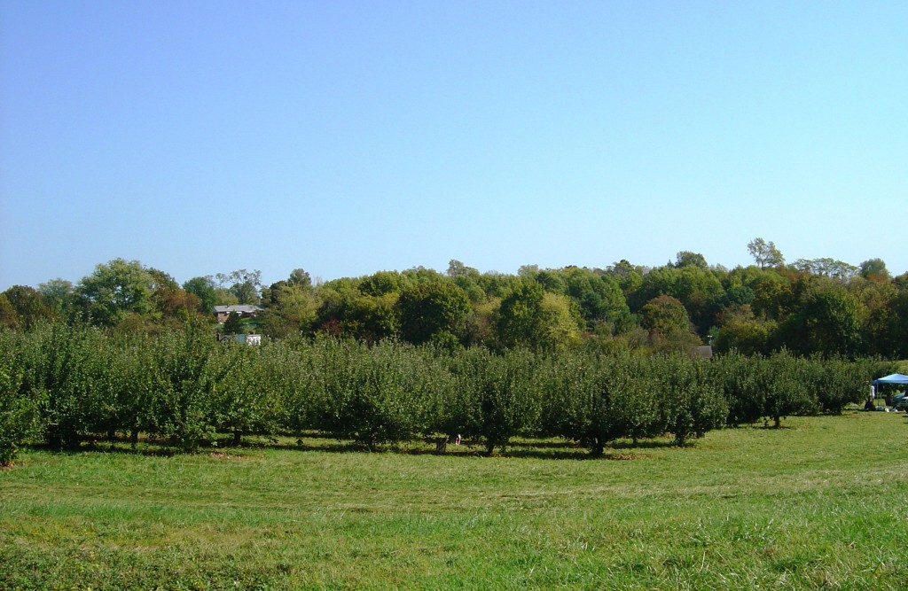 DSC03898