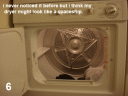 6.gif
