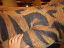 dsc02158.JPG