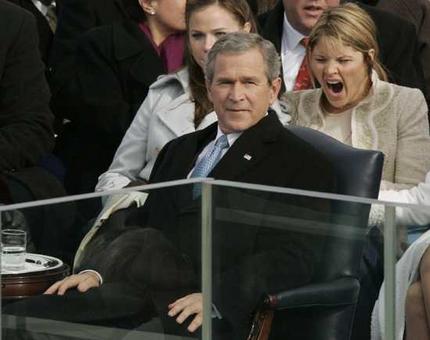 bushyawn_wideweb__430×340.jpg