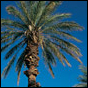 Junior League West Coast Tour Diary: Los Angeleees