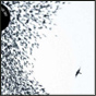 Judging a Cover By Its Cover: Wilco “Sky Blue Sky”