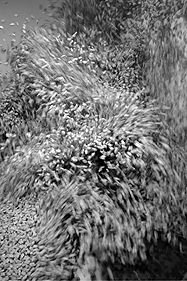 image-786464.jpg