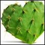 MP3 Picks of The Week: Half in Love