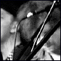 Live DC: American Music Club/Seth Rothschild @ Iota