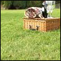 Fort Reno Update