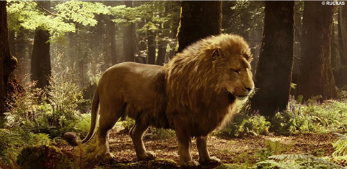 narnia1ruckas_800x390