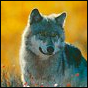 MP3 Picks Of The Week: (Mostly) Awe Inspiring