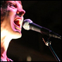 PHOTOS: Shearwater / Cryptacize