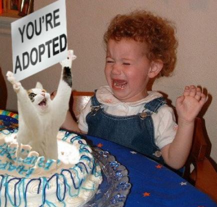 tasteless-cake-13