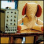 Upcoming Bands: My Toys Like Me