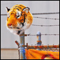 PHOTOS: (Wh)Artscape Pt. 2