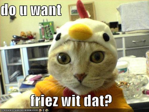 funny-pictures-cat-asks-if-you-want-fries