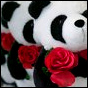 Giant Panda GUERILLA Dub Squad