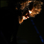 PHOTOS: My Morning Jacket