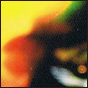 New Animal Collective-Some Info