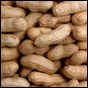 Peanut Butter Field Trip