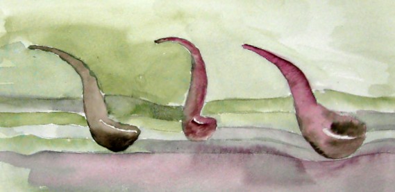 lettervisual2