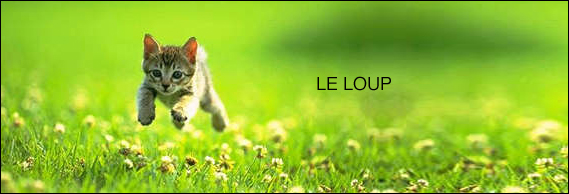 leloup