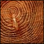 Cheap’o Decor: Gettin’ Good With Wood