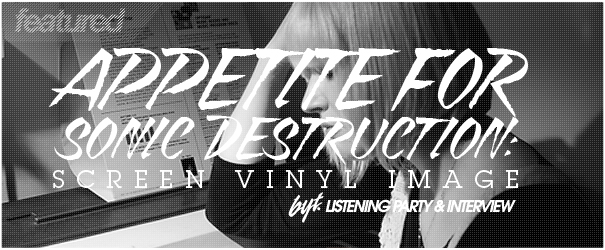 The Art of Sonic Destruction: Screen Vinyl Image