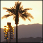 BYT Coachella Coverage Primer