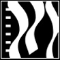 Film Fest DC Starts Today! GO!