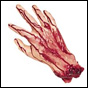 BYT Interview: Cut Off Your Hands