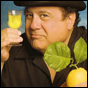 A Drink A Day: Limoncello Collins