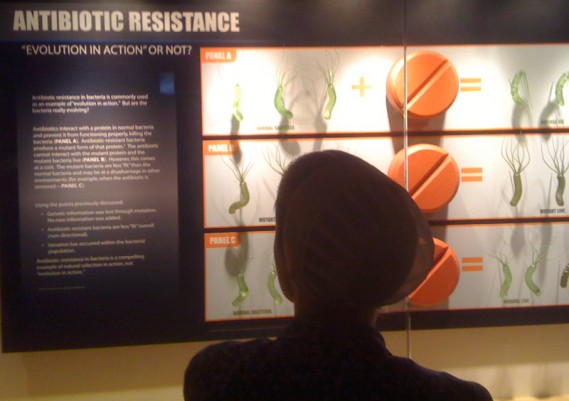 antibiotic resistance