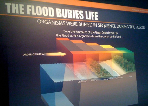 flood graphics 02