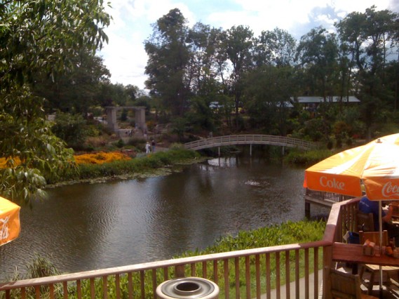 garden 01