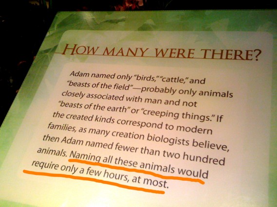 naming