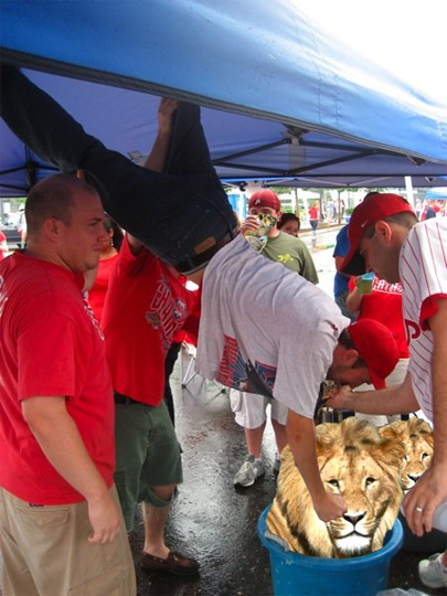 lionstandboozecat