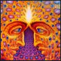 THE Hysteria: Your Comprehensive Dance/ Electronic Music Update