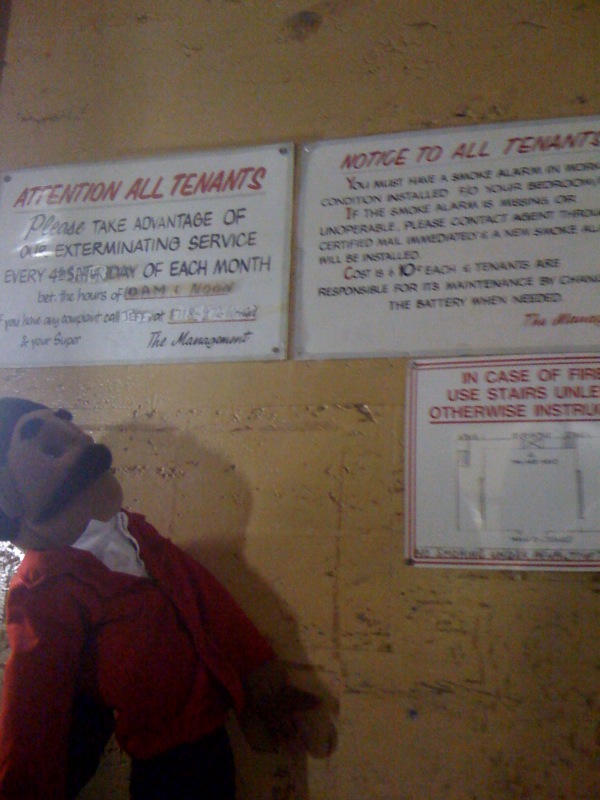 photo(2) photo(2)
