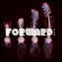A Celebration of Electronic Creative Culture in DC: The Full FORWARD Festival Guide