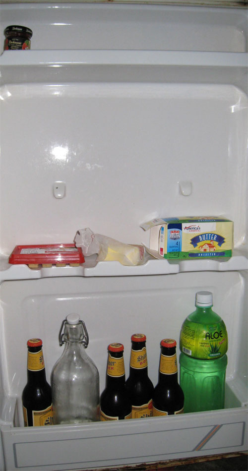 fridge-2 fridge-2